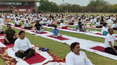 Yeni Delhi, Hindistan, 21 Haziran 2024 - Uluslararası Yoga Günü 'nde Delhi' deki Yamuna Spor Kompleksi 'nde grup Yoga egzersiz oturumu, kriket stadyumunda yoga sınıfına katılan büyük bir grup yetişkin