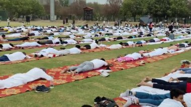 Yeni Delhi, Hindistan, 21 Haziran 2024 - Uluslararası Yoga Günü 'nde Delhi' deki Yamuna Spor Kompleksi 'nde grup Yoga egzersiz oturumu, kriket stadyumunda yoga sınıfına katılan büyük bir grup yetişkin