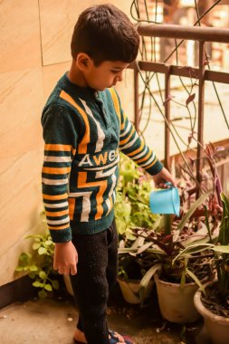 Şirin 5 yaşındaki Asyalı çocuk, ev balkonundaki saksıları suluyor. Bitkileri sularken küçük tatlı bir çocuğun doğaya olan sevgisi.