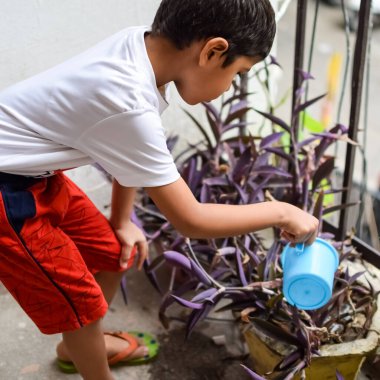 Şirin 5 yaşındaki Asyalı çocuk, ev balkonundaki saksıları suluyor. Bitkileri sularken küçük tatlı bir çocuğun doğaya olan sevgisi.