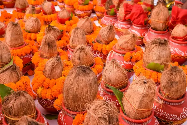 stock image Kalash with coconut and mango leaf with floral decoration earthen pots containing sacred water. Kalash for hindu puja during Jagannath Temple Mangal Kalash Yatra, front view, closeup