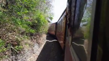Shimla, Himachal Pradesh, Hindistan - 10 Temmuz 2024 - Oyuncak tren Kalka-Shimla rotası, tepe, oyuncak tren Kalka 'dan Shimla' ya yeşil doğal orman arasında hareket