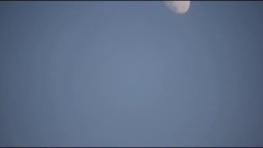 Moon Timelapse, Stock zamanaşımı: Dolunay karanlık gökyüzünde yükseliyor, gece vakti. Dolunay zamanı, gece karanlığında karanlık gökyüzünde ay ışığıyla birlikte kaybolur. Yüksek kaliteli beleş video kaydı veya zaman ayarlı