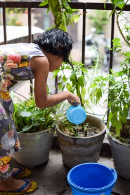 Şirin 5 yaşındaki Asyalı küçük kız, ev balkonundaki saksıları suluyor, bitkileri sularken doğa anaya duyulan sevgi, çocuk yetiştirme.