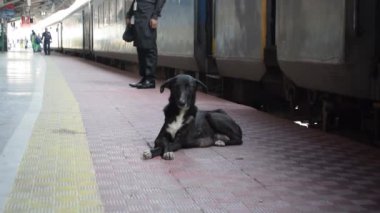 Kathgodam tren istasyonu sabah saatlerinde, Kathgodam tren istasyonu videosu, Kathgodam, Hindistan tren istasyonu tam görüş.