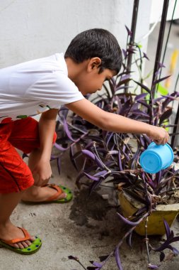 Şirin 5 yaşındaki Asyalı çocuk, ev balkonundaki saksıları suluyor. Bitkileri sularken küçük tatlı bir çocuğun doğaya olan sevgisi.