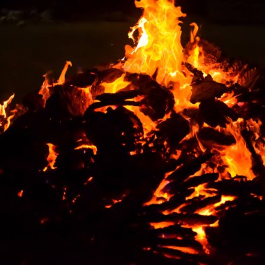 Siyah arka planda alevler, alev alev dokusu arka planda, çok güzel, ateş yanıyor, ateş odun ve inek gübresi ateşiyle yanıyor.