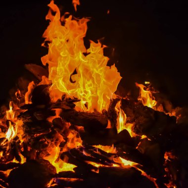 Siyah arka planda alevler, alev alev dokusu arka planda, çok güzel, ateş yanıyor, ateş odun ve inek gübresi ateşiyle yanıyor.