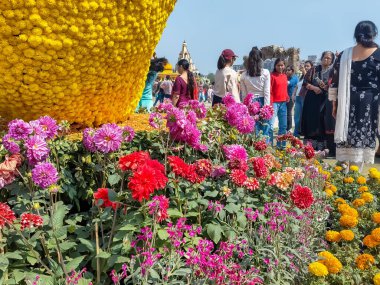 Delhi, Hindistan, 14 Şubat 2025 - Her yıl Delhi NCR 'de düzenlenen Noida Çiçek Sergisi' nde gösterilen çiçeklerde farklı yaşlarda insanlar, her yıl düzenlenen çiçek fuarında taze çiçekler ve yeşil doğal bitkiler