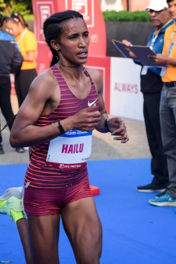 Yeni Delhi, Hindistan - 20 Ekim 2024 - Bitmek üzere olan maraton katılımcılarının bitiş çizgisini geçmek üzere olan Delhi Yarı Maratonu 2024