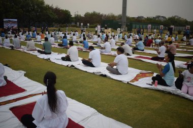 Yeni Delhi, Hindistan, 21 Haziran 2024 - Uluslararası Yoga Günü 'nde Delhi' deki Yamuna Spor Kompleksi 'nde grup Yoga egzersiz oturumu, kriket stadyumunda yoga sınıfına katılan büyük bir grup yetişkin