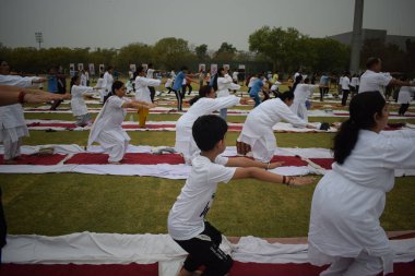 Yeni Delhi, Hindistan, 21 Haziran 2025 - Uluslararası Yoga Günü 'nde Delhi' deki Yamuna Spor Kompleksi 'nde grup Yoga egzersiz oturumu, kriket stadyumunda yoga sınıfına katılan büyük bir grup yetişkin