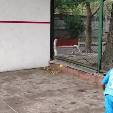 Delhi, Hindistan, 17 Şubat 2025 - Maha Open için kil tenis kortunda antrenörlük yapan genç tenisçiler, yaklaşan turnuva için küçük tenis oyuncuları antrenman yapıyor