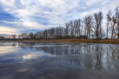 Gölet. Donmuş bir gölet ve arka planda uzun ağaçların güzel bir akşam görüntüsü..