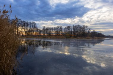 Arka planda uzun ağaçlar olan donmuş bir göletin güzel bir akşam görüntüsü..