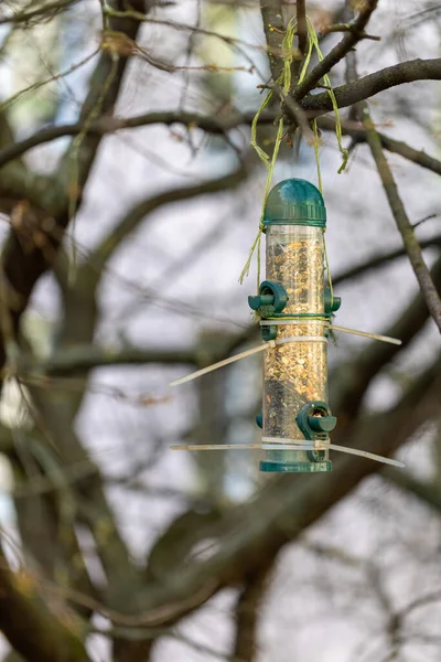 stock image Bird feeder - long plastic, transparent feeder hanging on the tree between branches.