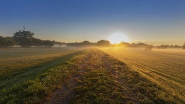 Sel ovasında güzel bir sabah. Güneşin ilk ışıklarıyla aydınlatılan yol..