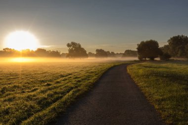 Sel ovasında güzel bir sabah. Güneşin ilk ışıklarıyla aydınlatılan yol..