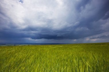 Arkasında büyük, dramatik fırtına bulutları olan yeşil bir alan..