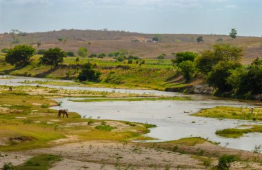 Paraiba Nehri, nehir ormanlarının tahrip edilmesinden dolayı korunmasız toprakla kaplı. Cruz do Espirito Santo, Paraiba, Brezilya 'da çevresel hasar.