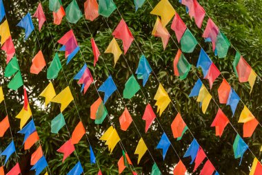 Sığırlar. Gurinhem, Paraiba, Brezilya 'da Nelore sığırı sürüsü. Çiftlik hayvanları.