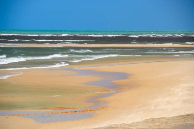 Sibauma plajı, Natal ve Pipa plajı, Tibau do Sul, Rio Grande do Norte, Brezilya, 31 Mart 2013.