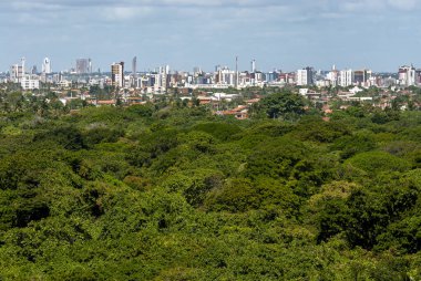 Baiao Kralı Luiz Gonzaga 'nın Exu, Pernambuco' daki heykeli, 17 Ekim 2023.