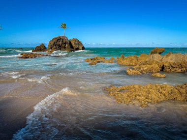 Tambaba Beach, naturist beach, in Conde, near Joao Pessoa, Paraiba, Brazil. clipart