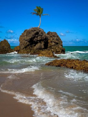 Tambaba Beach, naturist beach, in Conde, near Joao Pessoa, Paraiba, Brazil. clipart