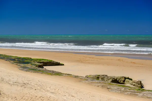 stock image Barra do Cunhau Beach, Canguaretama, near Natal and Pipa Beach, Rio Grande do Norte, Brazil, on 31 and 3 March 2013.