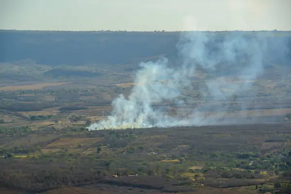 stock image Fire and burning in the Brazilian Caatinga biome, in the hinterl