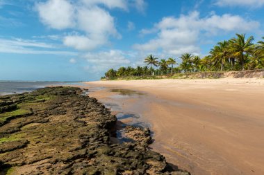 Espera plajı, Itacimirim, Bahia, Brezilya 9 Aralık 2022.