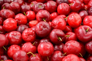 Taze organik kiraz aserolleri yakın plan kalıbı oluşturur..