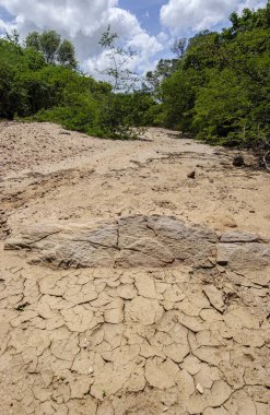 Kuru nehir yatağı, susuz, kuraklık nedeniyle, Paraiba, Brezilya 'nın iç kesimlerinde.