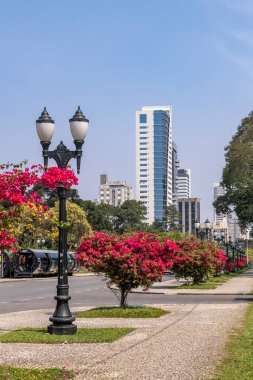 Curitiba, Parana, Brezilya 22 Eylül 2024. Candido de Abreu Caddesi, sokakta süslü çiçekler ve arka planda binalar..