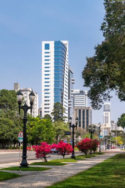 Curitiba, Parana, Brazil on September 22, 2024. Candido de Abreu Avenue, with ornamental flowers on the street and buildings in the background. clipart