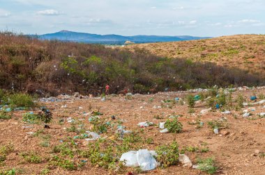 Brezilya, Paraiba 'nın kırsal kesimindeki Caatinga biyomunda çöpe atıldı..