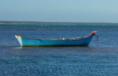 Pontal do Peba Plajı, Alagoas, Brezilya Öğleden sonra.