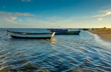 Pontal do Peba Plajı, Alagoas, Brezilya Öğleden sonra.