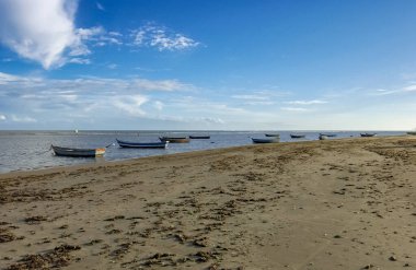 Pontal do Peba Plajı, Alagoas, Brezilya Öğleden sonra.