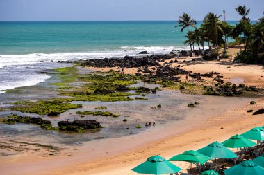 Baia Formosa Sahili Manzarası, Rio Grande do Norte, Brezilya 14 Ocak 2025.