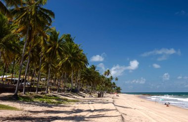 Coqueirinho Plajı, Conde, Paraiba Brezilya 'nın Güney Sahili Joao Pessoa yakınlarında, 14 Mart 2004.