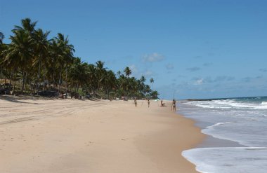 Coqueirinho Plajı, Conde, Paraiba Brezilya 'nın Güney Sahili Joao Pessoa yakınlarında, 14 Mart 2004.