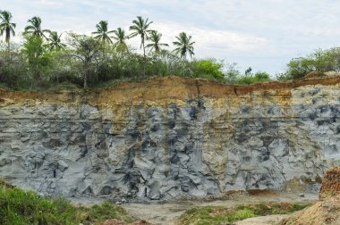 4 Ocak 2010 'da Joao Pessoa, Paraiba, Brezilya' da Rocky Cliffs ve Vegetation ile terkedilmiş kireçtaşı ocağı.