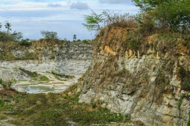 4 Ocak 2010 'da Joao Pessoa, Paraiba, Brezilya' da Rocky Cliffs ve Vegetation ile terkedilmiş kireçtaşı ocağı.