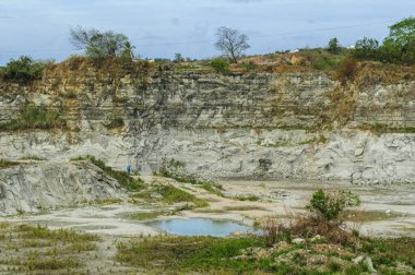 4 Ocak 2010 'da Joao Pessoa, Paraiba, Brezilya' da Rocky Cliffs ve Vegetation ile terkedilmiş kireçtaşı ocağı.