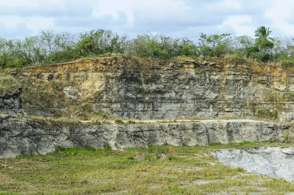 4 Ocak 2010 'da Joao Pessoa, Paraiba, Brezilya' da Rocky Cliffs ve Vegetation ile terkedilmiş kireçtaşı ocağı.