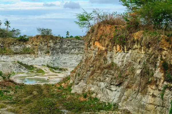 4 Ocak 2010 'da Joao Pessoa, Paraiba, Brezilya' da Rocky Cliffs ve Vegetation ile terkedilmiş kireçtaşı ocağı.
