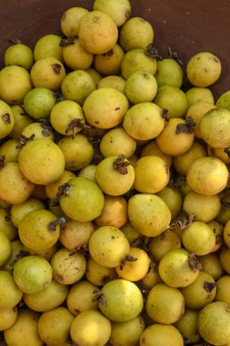 Araca meyvesi. Brezilya 'dan olgun sarı ara meyvesi, yerel tropik