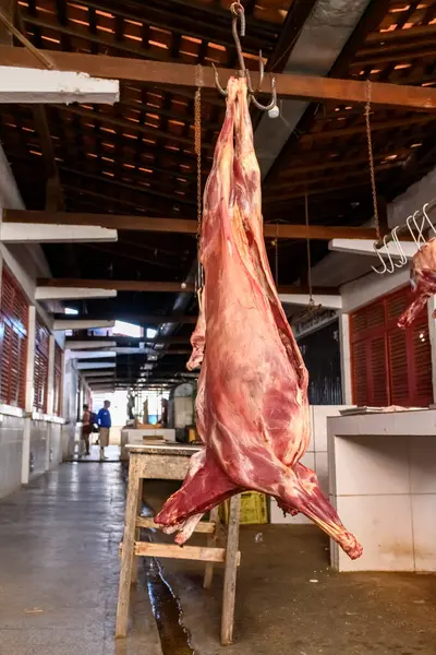 Serra Branca, Paraiba, Brezilya 'da açık pazarda satılık keçi eti